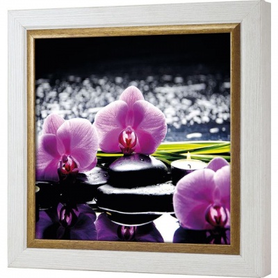  Ключница Базальт и пурпурный фаленопсис, Жемчуг/Золото, 30x30 см фото в интернет-магазине