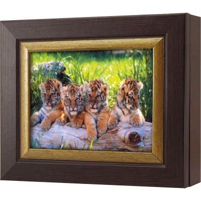 Ключница Тигрята, Турмалин/Золото, 13x18 см фото в интернет-магазине