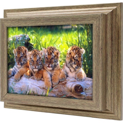  Ключница Тигрята, Антик, 13x18 см фото в интернет-магазине