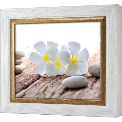  Ключница Белые франджипани, Жемчуг/Золото, 20x25 см фото в интернет-магазине