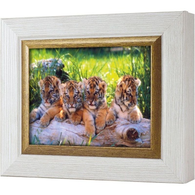  Ключница Тигрята, Жемчуг/Золото, 13x18 см фото в интернет-магазине