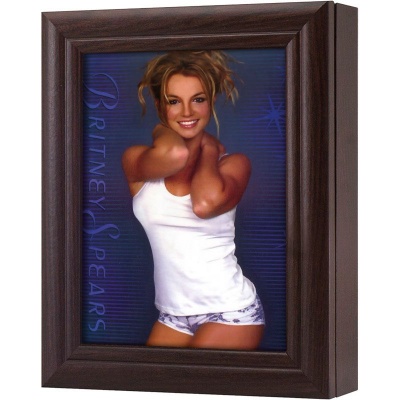  Ключница Бритни Спирс, Обсидиан, 13x18 см фото в интернет-магазине