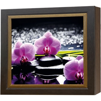  Аптечка Базальт и пурпурный фаленопсис, Турмалин/Золото, 29x29 см фото в интернет-магазине