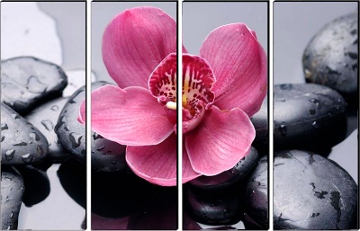  Модульная картина Орхидея на камнях, TZD63 фото в интернет-магазине