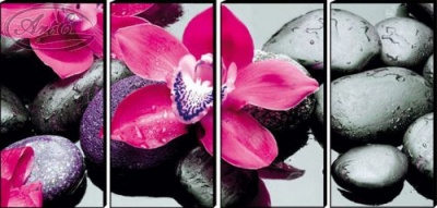  Модульная картина Яркие цветы на камнях, TZD58 фото в интернет-магазине