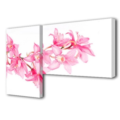  Модульная картина Нежно-розовый, S-4106H фото в интернет-магазине