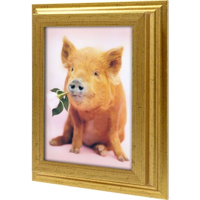  Ключница Свинка Джордан, Золото, 13x18 см ТЕСТ фото в интернет-магазине