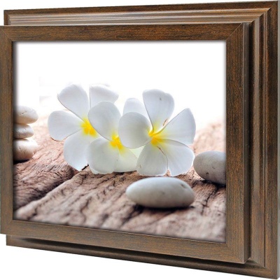  Ключница Белые франджипани, Бронза, 20x25 см фото в интернет-магазине
