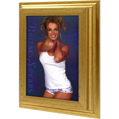  Ключница Бритни Спирс, Золото, 13x18 см фото в интернет-магазине