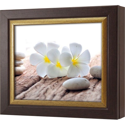  Ключница Белые франджипани, Турмалин/Золото, 20x25 см фото в интернет-магазине