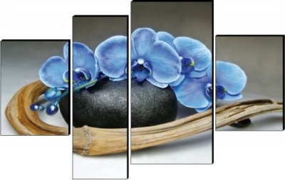  Модульная картина Ветка орхидеи II, T125-70х100 фото в интернет-магазине