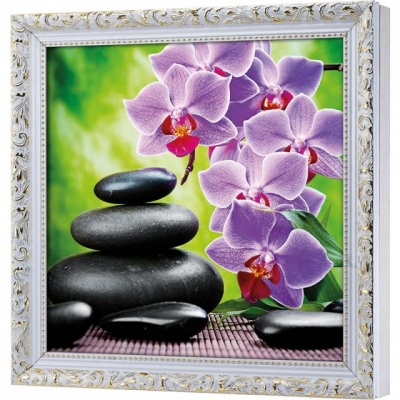  Ключница Мир орхидеи, Алмаз, 30x30 см фото в интернет-магазине
