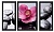  Триптих в багете Орхидея на камнях, ZD63-50x70-1045b фото в интернет-магазине
