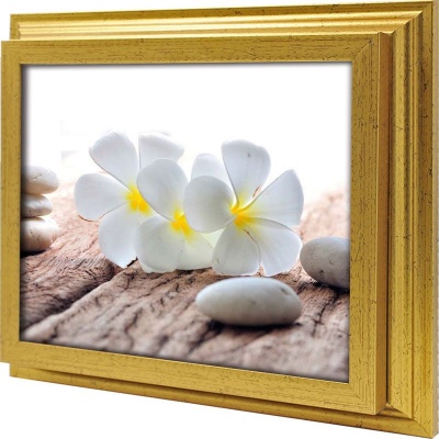  Ключница Белые франджипани, Золото, 20x25 см фото в интернет-магазине